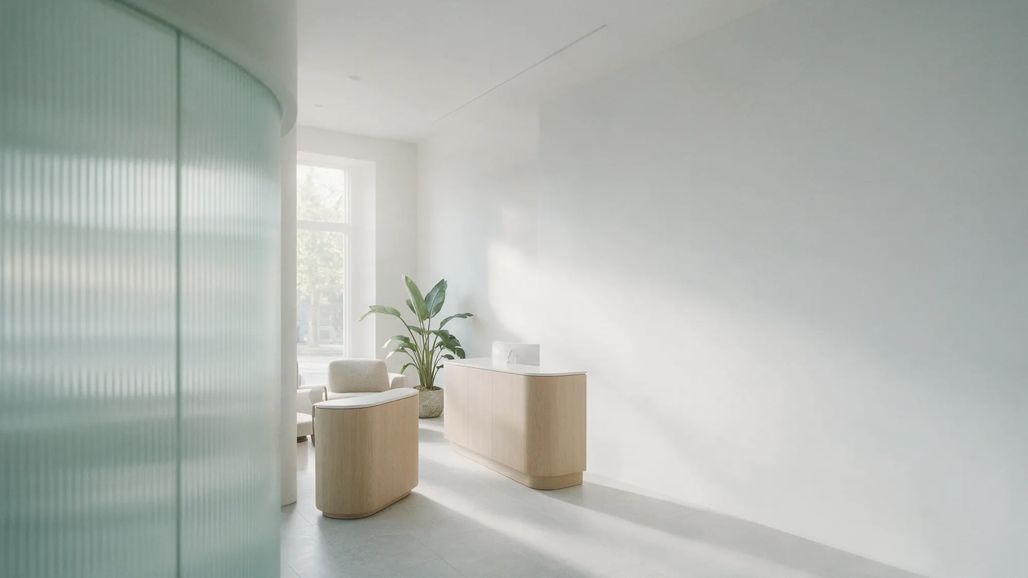 The clinic lounge: two oak benches, a plant and a window, behind a curved fluted-glass wall